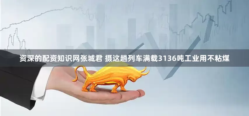 资深的配资知识网张城君 摄　　这趟列车满载3136吨工业用不粘煤