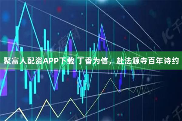 聚富人配资APP下载 丁香为信，赴法源寺百年诗约
